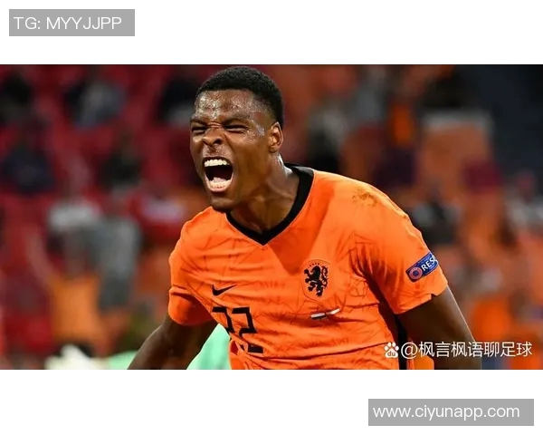 荷兰新一代足球明星崛起盘点他们的风采与潜力